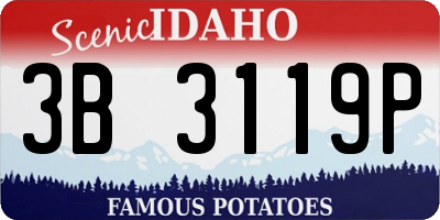 ID license plate 3B3119P