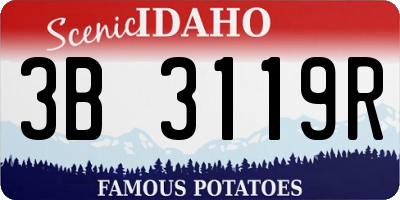 ID license plate 3B3119R