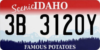 ID license plate 3B3120Y