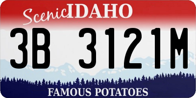 ID license plate 3B3121M