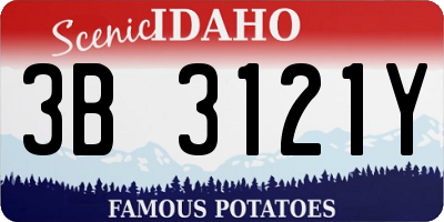 ID license plate 3B3121Y
