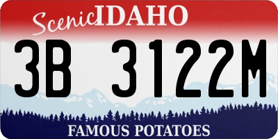 ID license plate 3B3122M