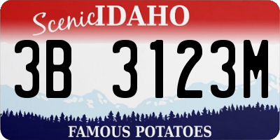 ID license plate 3B3123M