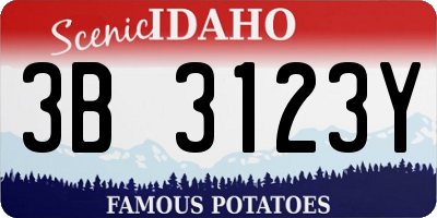 ID license plate 3B3123Y