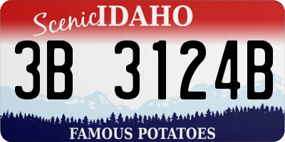 ID license plate 3B3124B