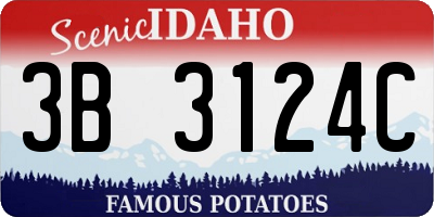 ID license plate 3B3124C