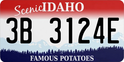 ID license plate 3B3124E