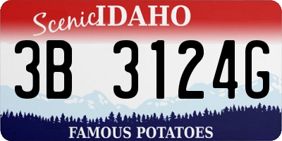 ID license plate 3B3124G