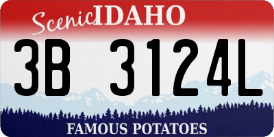 ID license plate 3B3124L