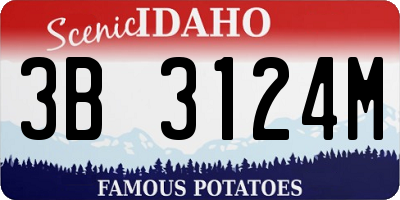 ID license plate 3B3124M