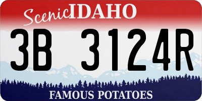 ID license plate 3B3124R