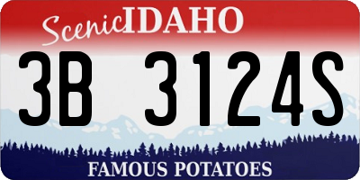 ID license plate 3B3124S