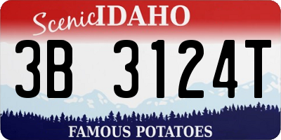 ID license plate 3B3124T