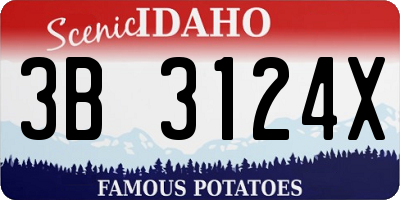 ID license plate 3B3124X