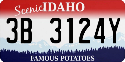 ID license plate 3B3124Y