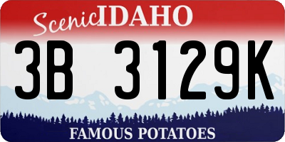 ID license plate 3B3129K