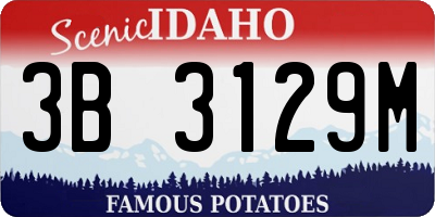 ID license plate 3B3129M