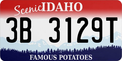 ID license plate 3B3129T