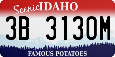 ID license plate 3B3130M