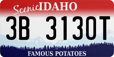 ID license plate 3B3130T