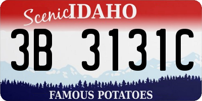 ID license plate 3B3131C