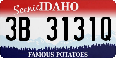 ID license plate 3B3131Q