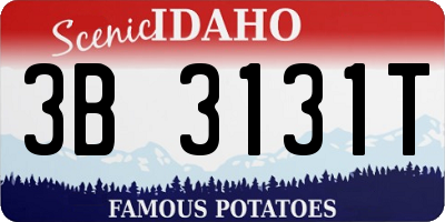 ID license plate 3B3131T