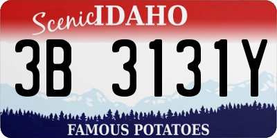 ID license plate 3B3131Y