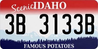 ID license plate 3B3133B