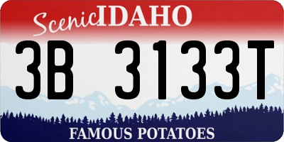 ID license plate 3B3133T