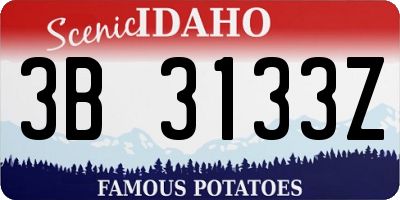 ID license plate 3B3133Z