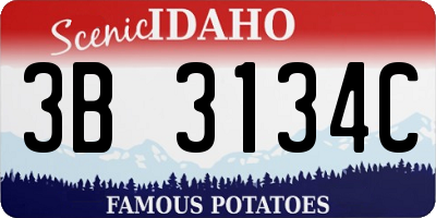 ID license plate 3B3134C