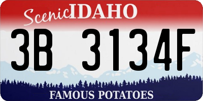 ID license plate 3B3134F