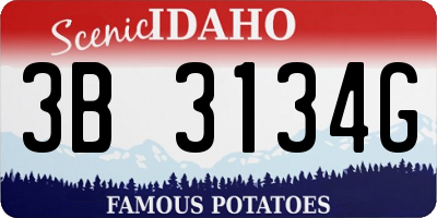 ID license plate 3B3134G