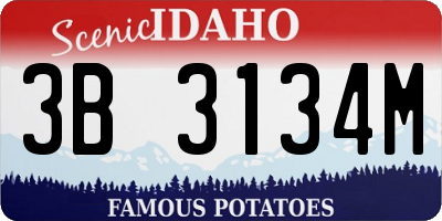 ID license plate 3B3134M