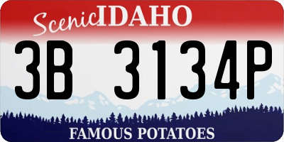 ID license plate 3B3134P