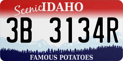 ID license plate 3B3134R