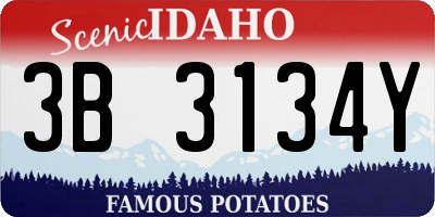 ID license plate 3B3134Y