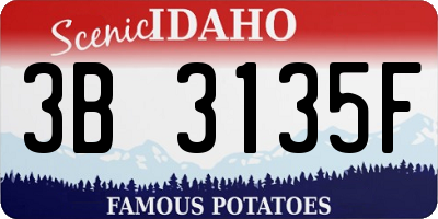 ID license plate 3B3135F
