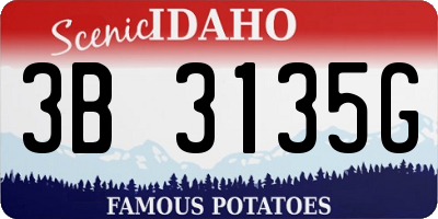 ID license plate 3B3135G
