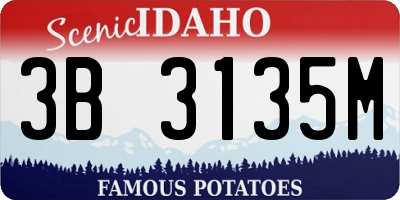 ID license plate 3B3135M