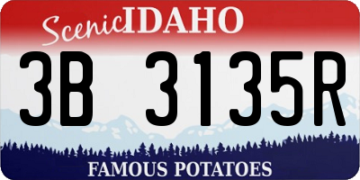 ID license plate 3B3135R