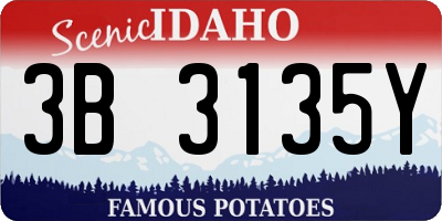 ID license plate 3B3135Y