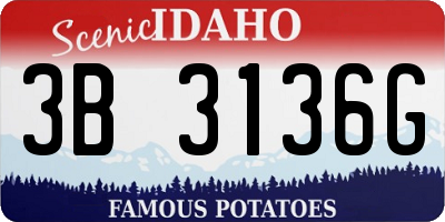 ID license plate 3B3136G