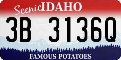 ID license plate 3B3136Q