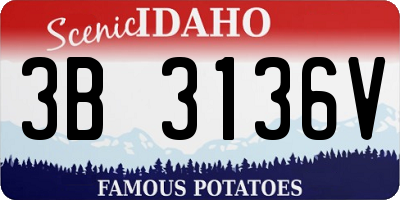 ID license plate 3B3136V