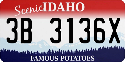ID license plate 3B3136X