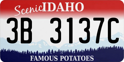 ID license plate 3B3137C