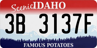 ID license plate 3B3137F