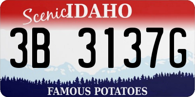 ID license plate 3B3137G